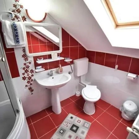 Casa Teleferic Guest house Busteni