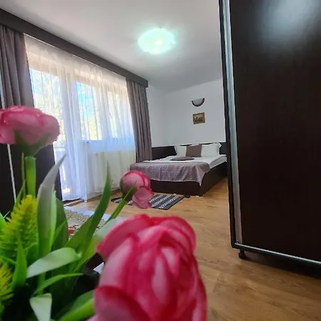 Casa Teleferic Guest house